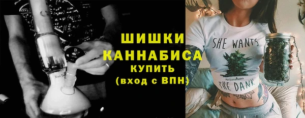 твердый Михайлов