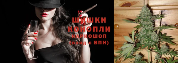 твердый Михайлов