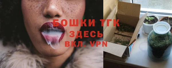 твердый Михайлов