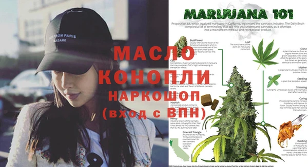 молекула духа Михайловка
